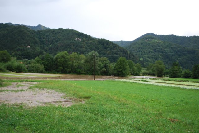 dsc_0001.jpg