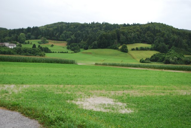 dsc_0012.jpg