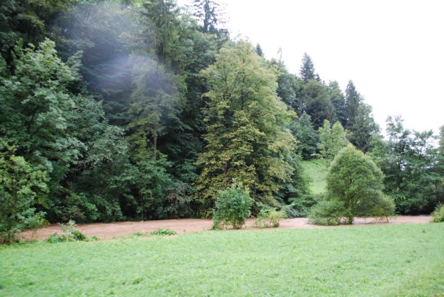 dsc_0037.jpg