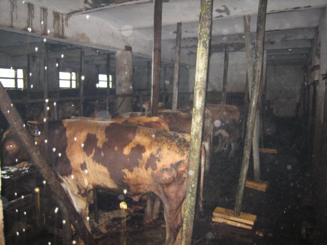 img_3057.jpg