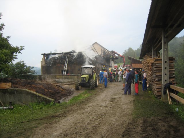 img_3100.jpg